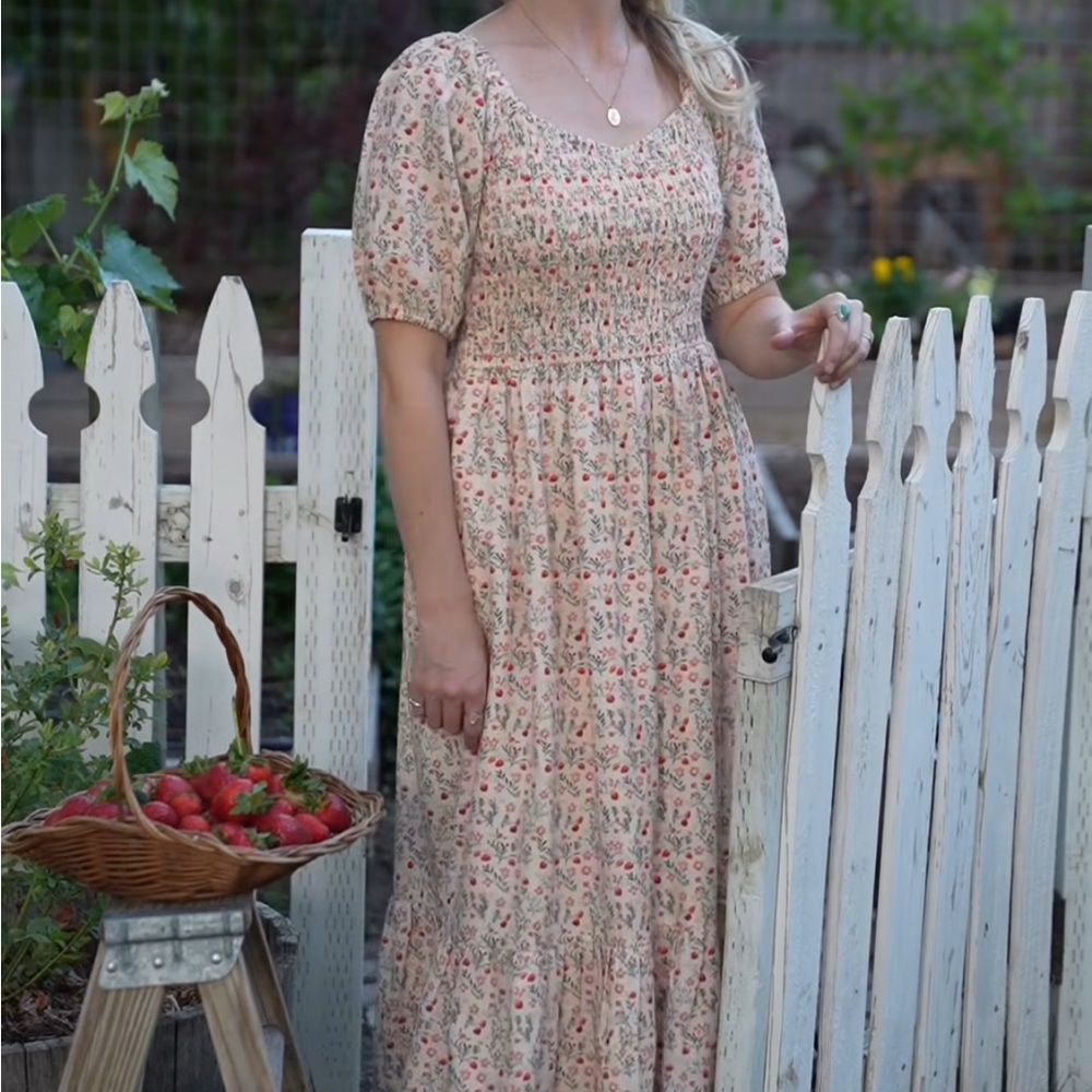 NWT LC Strawberry Parker Dress S